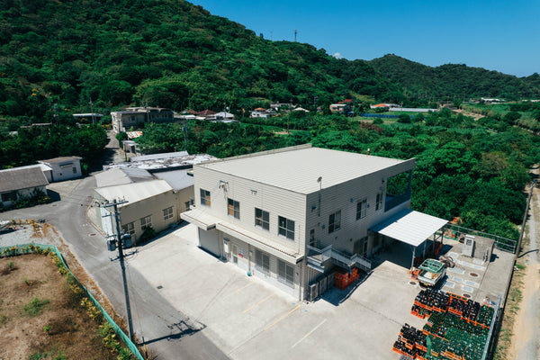 Yanbaru: The Protected Rainforest That Shapes Okinawa Whisky